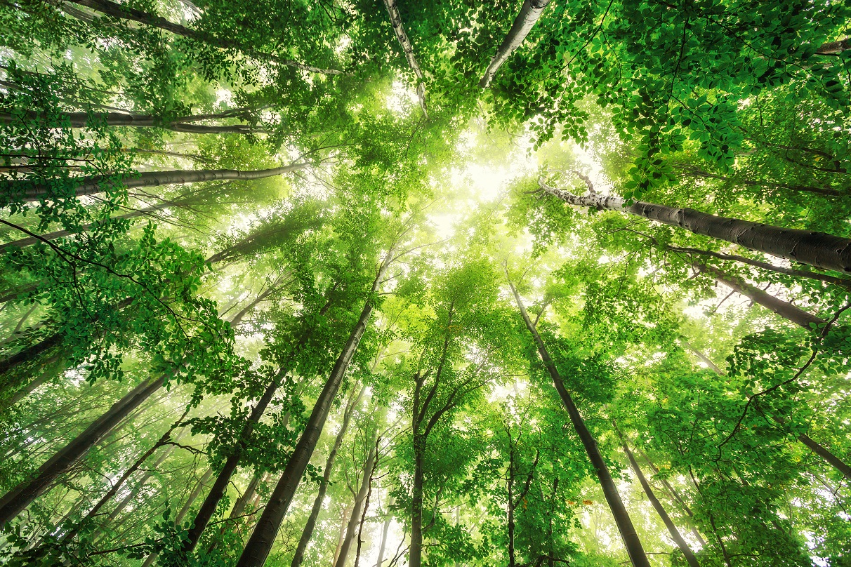 cabro misure di protezione ambientale